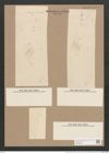 Pleurosigma angulatum var. fallax Grun. (de-Toni-Nr.: Genus 13, Species 1001) Zeichnungen Sammlung Grunow Nr. 2016 (NHMW-BOT-W0368866)